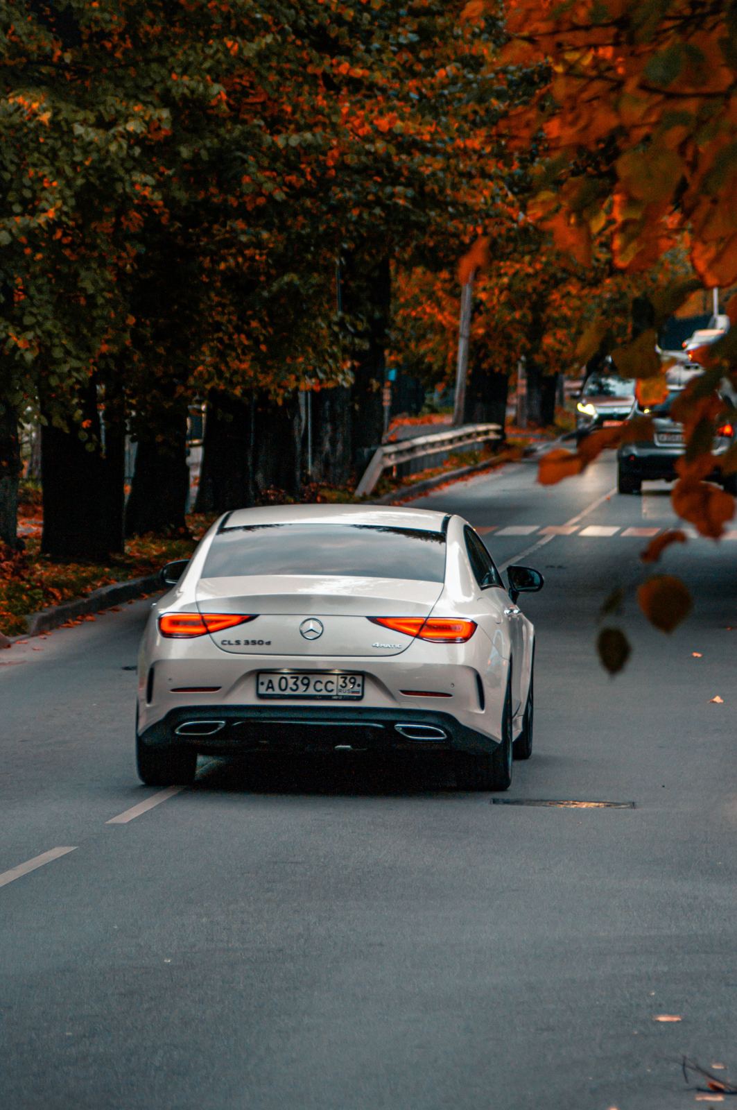 Voiture sur route bordée d'arbres